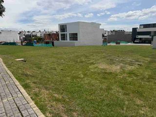 5 Lotes Juntos en venta en Parque Bruselas