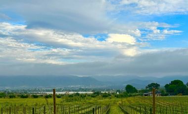 Terreno en venta , ubicado en el Valle de Guadalupe