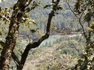 BELLO TERRENO EN LA ESTANZUELA, $200 el m2 CERCA DE LA PRESA EL CEDRAL