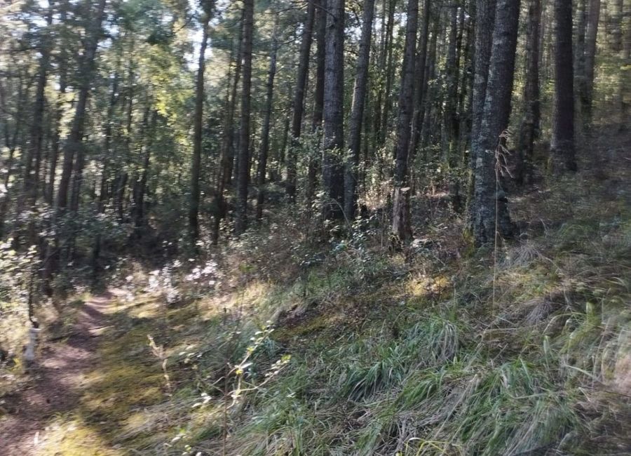 Bello Terreno En La Estanzuela El M Cerca De La Presa El Cedral