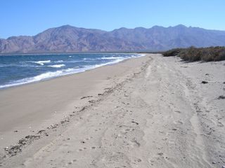 Terreno en venta en Bahía de los Ángeles  San Quintín  Baja California Norte