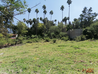 Terreno de 2,089 m2 en venta en el poblado de Buena Vista, Ixtlahuacán de los Membrillos, Jalisco, pegado al casco de la ex-hacienda.