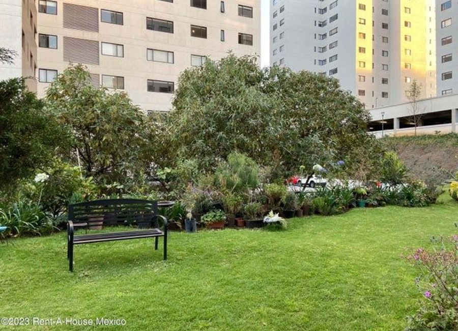 place photo 35