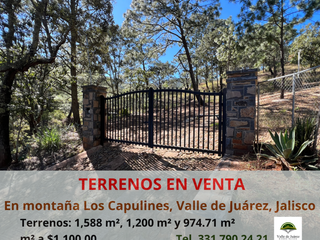 TERRENOS EN LA MONTAÑA "LOS CAPULINES"