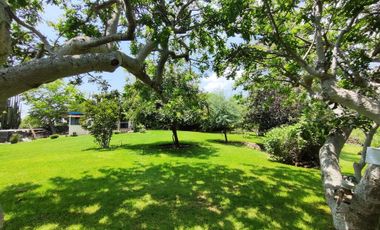 Bonita Quinta en Teuchitlan con enorme y hermoso jardin con arboles frutales