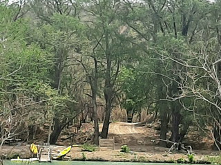 SE VENDE TERRENO RUSTICO