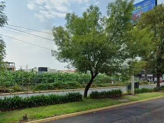 Terreno en renta en Avenida Comonfort, Metepec