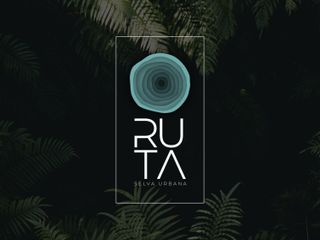 Residencial RUTA Venta Lotes Urbanizados con Titulo de Propriedad 200m Ruta de los Cenotes km1.7