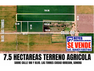 SE VENDE 7.5 HECTAREAS AL ORIENTE DE CIUDAD OBREGON