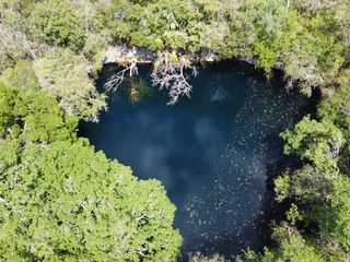 Se Vende Terreno con Cenote Ubicado en Panabá, Yucatán