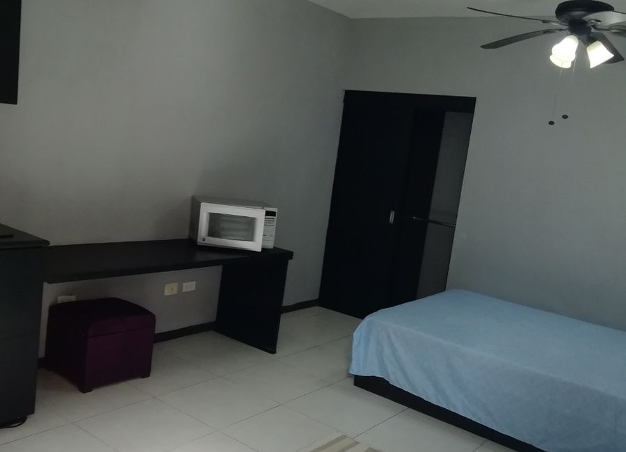 LOFT EN RENTA AMUEBLADO UNA RECAMARA EN SAN PEDRO | Lamudi.com.mx