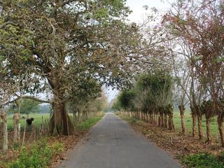 Terreno en venta cerca del aeropuerto internacional de villahermosa, tabasco.