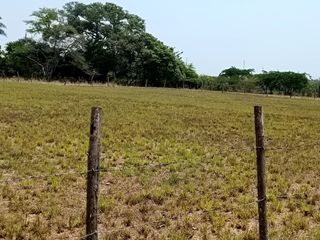 TERRENO EN VENTA EN VALLE ALTO VERACUZ