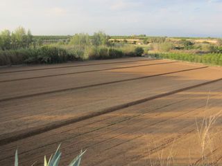 EL JARALILLO TERRENO EN VENTA AGUASCALIENTES