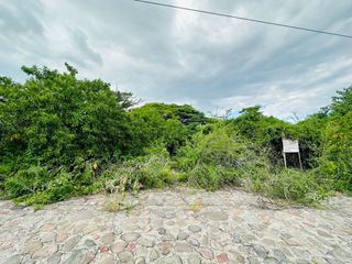 Terreno en Venta, Palo Blanco