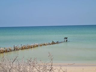 increible terreno en venta frente a la playa de Chuburna , Progreso Yucatán