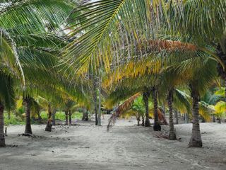 Terreno en Playa Azul, Centla