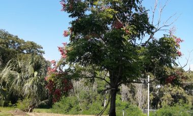 Terreno Venta carretera cadereita a allende Nuevo Leon.