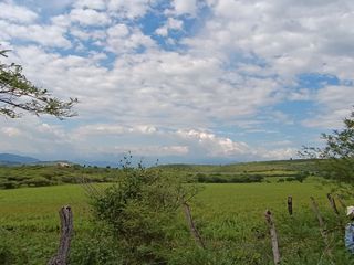 ¡Terreno con disponibilidad de 12 hectareas!