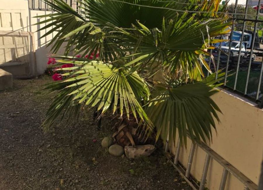place photo 19