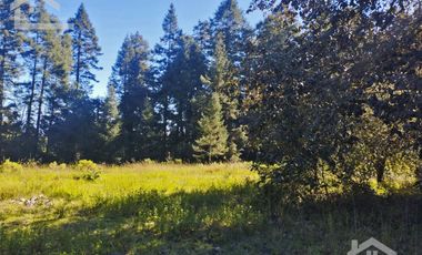 VENTA DE PEQUEÑO VALLECITO, UBICADO EN LAS MONTAÑAS DE MINERAL DEL CHICO