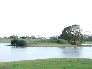 Venta de Rancho ubicado en coronel traconis cerca del aeropuerto de villahermosa, tabasco