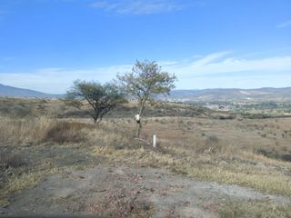 TERRENO EN VENTA EN CUITZILLO EL CHICO