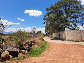 TERRENO EN LA COMUNIDAD DE PALOS ALTOS