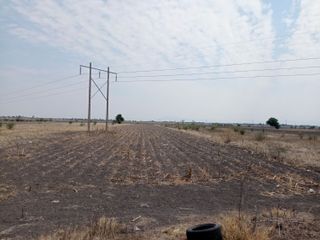 Venta terreno ejidal a pie de carretera Irapuato-Romita Guadalupe Paso Blanco