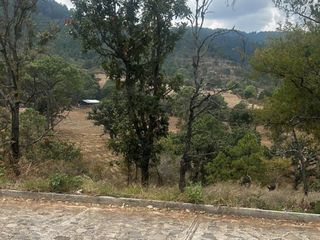 PREDIO A B0RDE CARRETERA AL TIGRE VALLE DE JUAREZ JAL