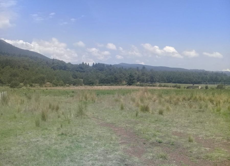 VENTA DE TERRENOS EN CIRCUITO AJUSCO, CERCA DE BIFURCACIÓN Y. TLALPAN