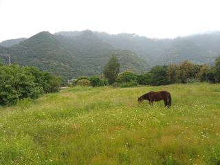 EXCELENTE TERRENO EN VENTA "MALINALCO"