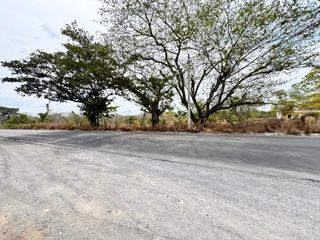 Hectáreas en venta a orilla de la carretera Estatal Soledad – Olutla Municipio de Manlio Fabio Altamirano Veracruz