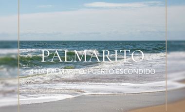 Hectáreas frente al mar El Palmarito, Puerto Escondido