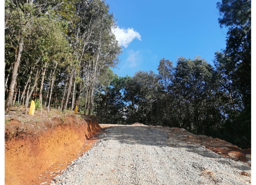 PROYECTO AVELLANEDA
