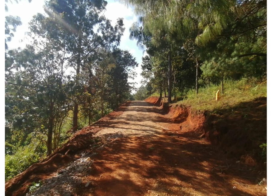 PROYECTO AVELLANEDA