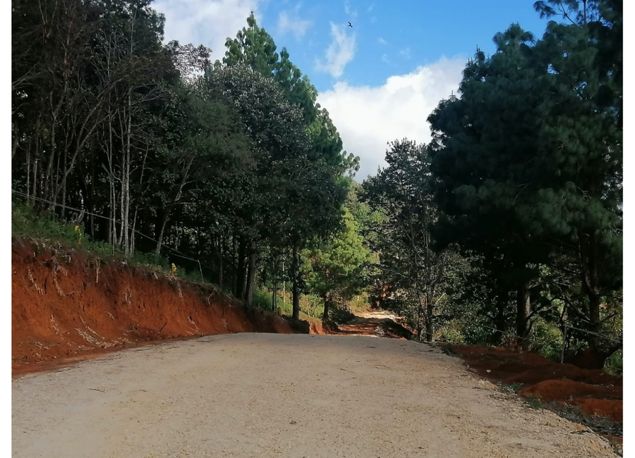 PROYECTO AVELLANEDA